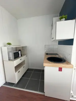 Cuisine ou kitchenette dans l'établissement L’hiver de Mélusine