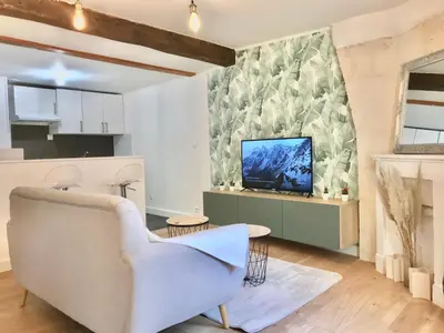 Télévision ou salle de divertissement dans l'établissement Jungle Cosy Appartement