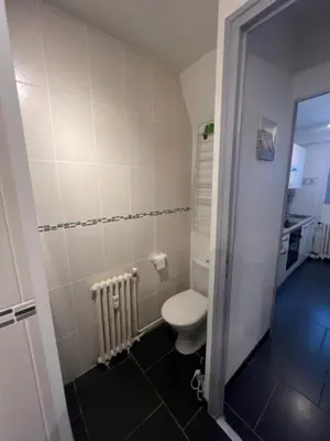 Salle de bains dans l'établissement Le P'tit Gris Studio cosy et rénové