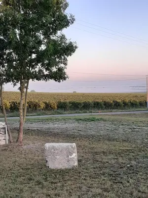 Paysage naturel près de le B&B/chambre d'hôtes