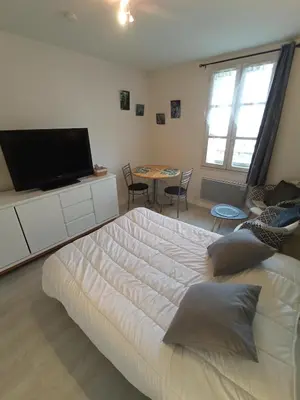 Télévision ou salle de divertissement dans l'établissement Studio confort proche cure et port de plaisance