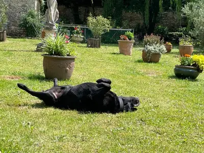 Jardin de l'établissement Un Logis en Angoumois