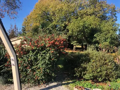 Jardin de l'établissement Chambres d hôtes Villa Anani Cosson alex