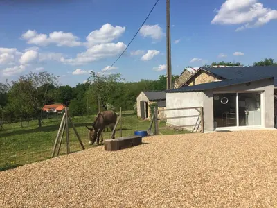 Animaux dans le camping ou à proximité