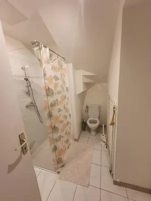 Salle de bains dans l'établissement APPARTEMENT HYPER CENTRE - Place du Minage