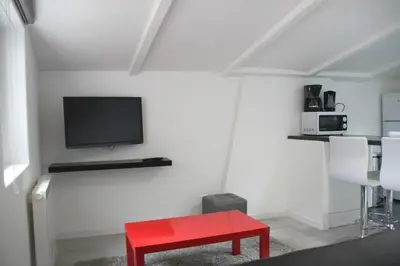 Télévision ou salle de divertissement dans l'établissement Comfortable Apartment In Downtown La Rochelle