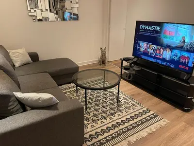 Télévision ou salle de divertissement dans l'établissement Le Black & White, hyper centre - paisible- wifi HD- NETFLIX- proche gare -Ideal couple et business