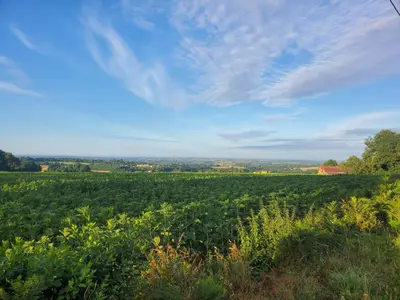 Paysage naturel près de la maison d'hôtes