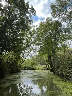 Paysage naturel près de la maison d'hôtes
