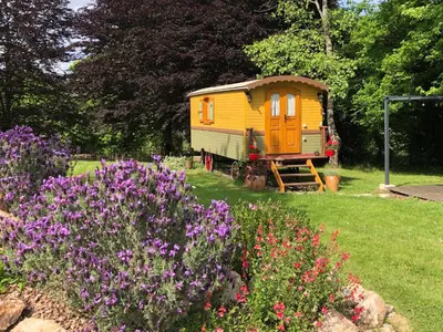 Jardin de l'établissement Roulotte La Chouette des Granges