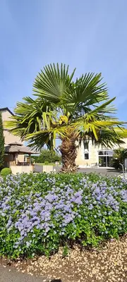 Jardin de l'établissement Gîte La Gloriette proche Futuroscope