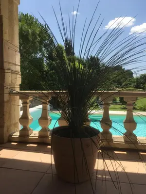 Piscine de l'établissement Le Hangar ou située à proximité