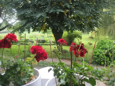 Jardin de l'établissement La Maison prés du ruisseau Chambre jaune