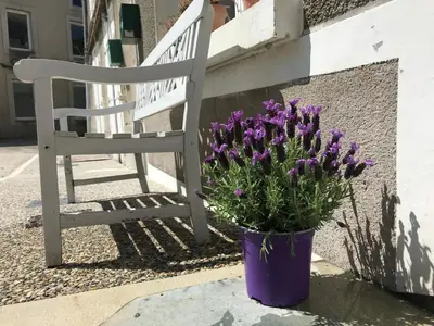 Plan de l'établissement Montemboeuf - Cottage - Sleeps 2 - Parking