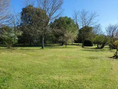 Jardin de l'établissement La Maison des Grands Bambous - L'Angoumois L'Aunis La Saintonge La Boutonne