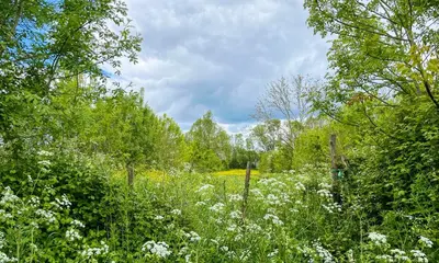 Paysage naturel près de la maison d'hôtes