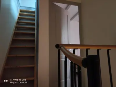 Animal ou animaux domestique(s) séjournant avec des clients dans l'établissement T3 COSY MAISON DE VILLE TERRASSE AU CALME
