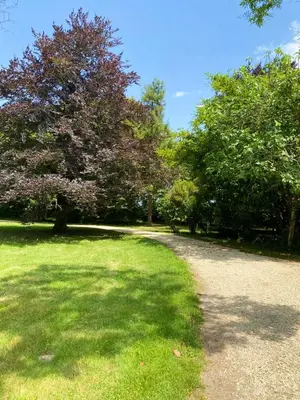 Jardin de l'établissement Manoir majestueux à Chaniers avec piscine privée