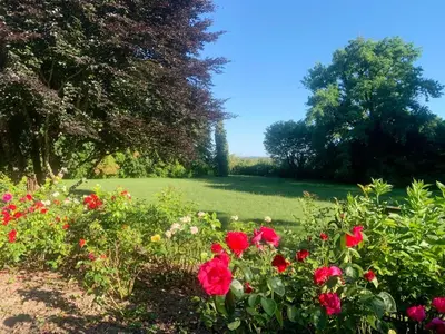 Jardin de l'établissement Manoir majestueux à Chaniers avec piscine privée