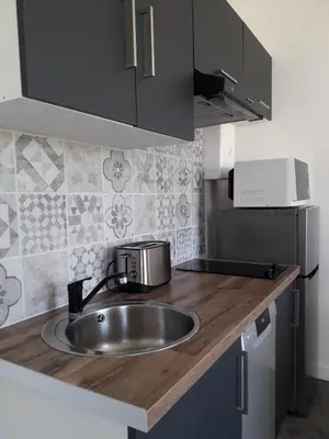 Cuisine ou kitchenette dans l'établissement Au Domaine du Petit Cercoux