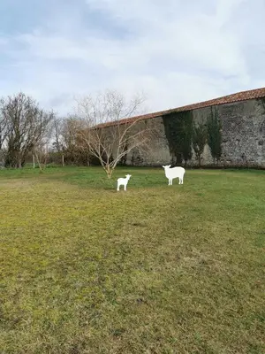 Animaux dans le B&B/chambre d'hôtes ou à proximité