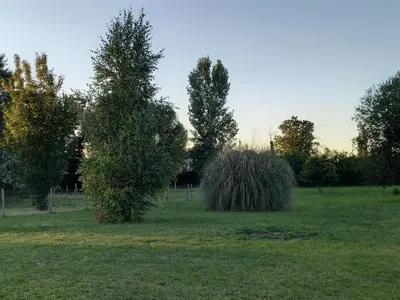 Jardin de l'établissement Maison cocooning à 20 min des plages