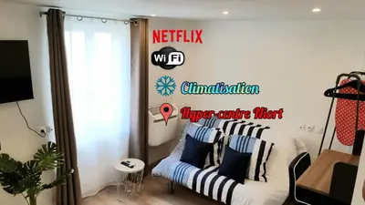 Télévision ou salle de divertissement dans l'établissement Escapade Niortaise - Studios climatisés hyper-centre de Niort