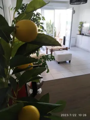 Coin salon dans l'établissement A Poitiers, 2 chambres, très bel appartement de 65 m2