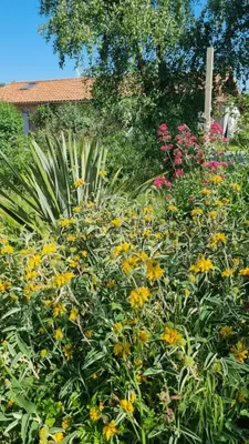 Jardin de l'établissement Chambres et gîte dans un lieu calme et champêtre Gourgé Les Grippeaux proche Parthenay