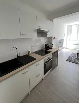 Cuisine ou kitchenette dans l'établissement Appartement situé en plein coeur du centre-ville
