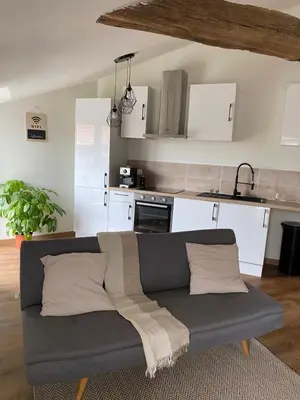 Cuisine ou kitchenette dans l'établissement Charmant appartement avec SPA