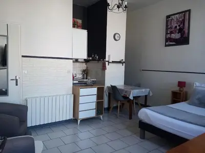 Cuisine ou kitchenette dans l'établissement Studio Le Terminus