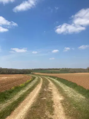 Paysage naturel près de la maison de vacances