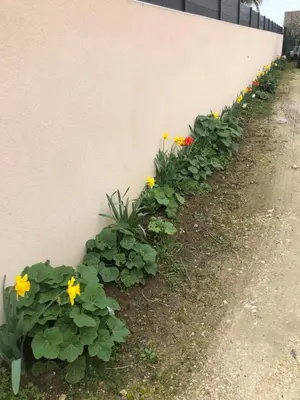 Jardin de l'établissement Studio pour 2 personnes à Tonnay Charente