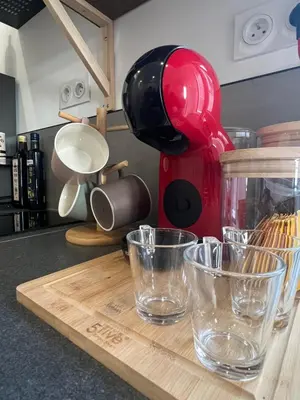 Cuisine ou kitchenette dans l'établissement Le Bjorn - T1 chaleureux refait à neuf - Centre