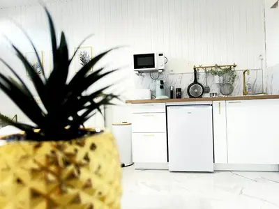 Cuisine ou kitchenette dans l'établissement Studio - Le Marbre - aux portes du Futuroscope
