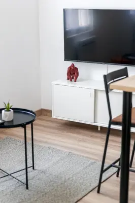 Télévision ou salle de divertissement dans l'établissement L'érable #Netflix #Centre-ville