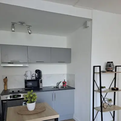 Cuisine ou kitchenette dans l'établissement Studio de charme