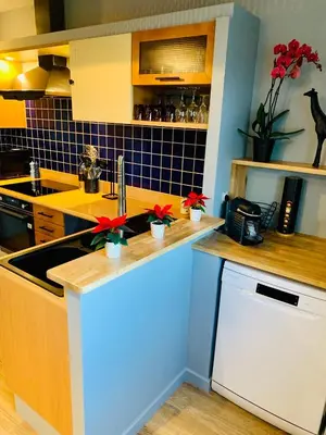 Cuisine ou kitchenette dans l'établissement 