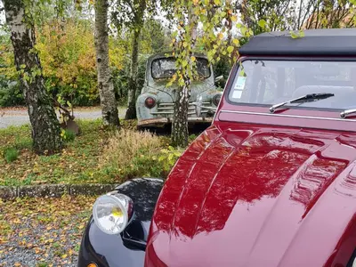 Jardin de l'établissement La Thibaudière Gite 70m2