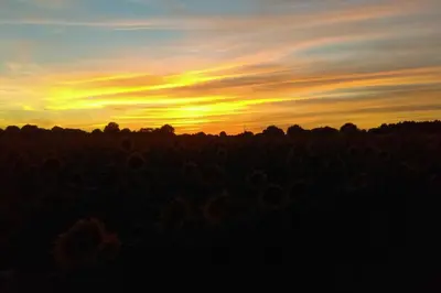 Lever ou coucher de soleil vu de la maison de vacances ou à proximité