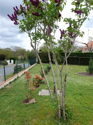 Jardin de l'établissement La belle maisonette