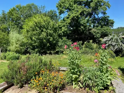 Jardin de l'établissement La Colline aux Licornes