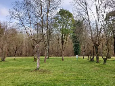 Paysage naturel près de le camping