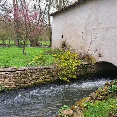 Paysage naturel près de la maison de vacances