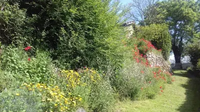 Jardin de l'établissement Gite de says