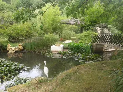 Paysage naturel près de la maison de vacances