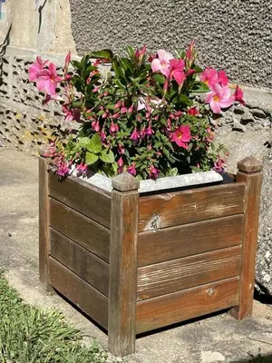 Jardin de l'établissement Le balet