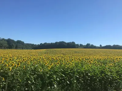 Paysage naturel près de la maison de vacances