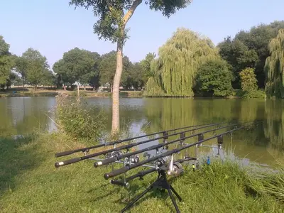 Vue sur la rivière ou le fleuve situé(e) à proximité de le camping